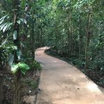 Paronella Park to Cooktown